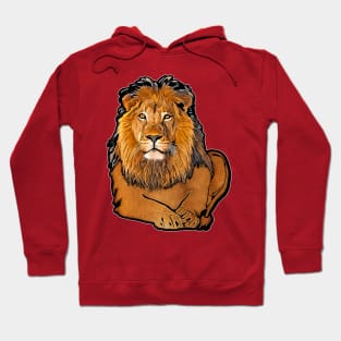 Lion Panthera leo Male Hoodie